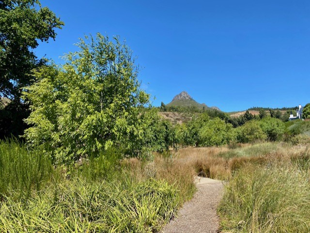0 Bedroom Property for Sale in La Roche Western Cape